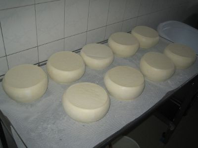 Egri Margaréta kecskesajt sajtkirály