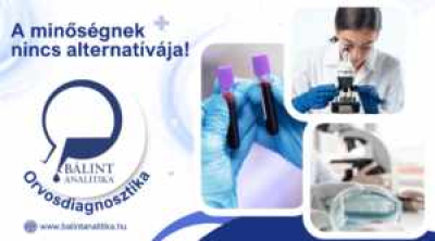 Bálint Analitika Kft. Orvosdiagnosztika Vérvétel Újbuda 