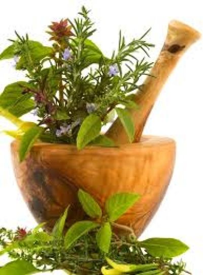 Dr. File Emília Homeopata, tüdőgyógyász és természetgyógyász