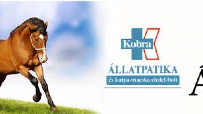 Kobra állatpatika webáruház