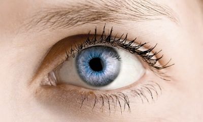  A - Z Optika - Juhászné Blaskó Judit 
