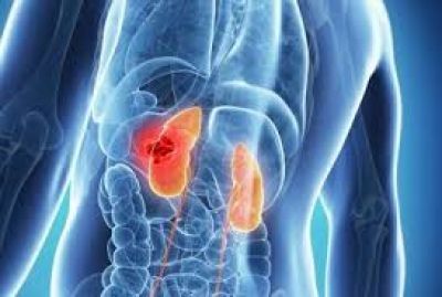 Dr. Halász Gabriella csecsemő és gyermekgyógyász,homeopata, nephrológus