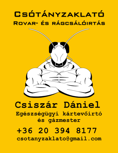 Csótányirtás Budapesten Csótányzaklató